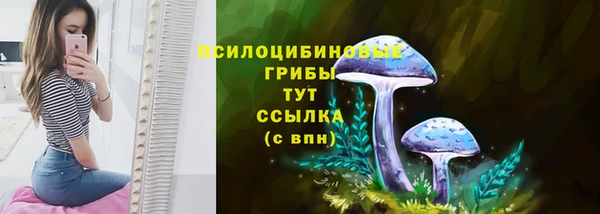 дмт Алексин