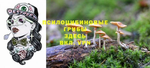 стафф Алзамай