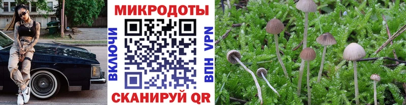 Галлюциногенные грибы MAGIC MUSHROOMS  Любань 